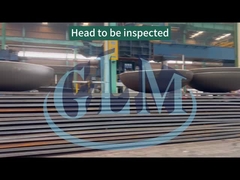 Q235 Q345 Vaso di pressione torisferica a testa a piatto per sigillamento dei tubi 100 mm